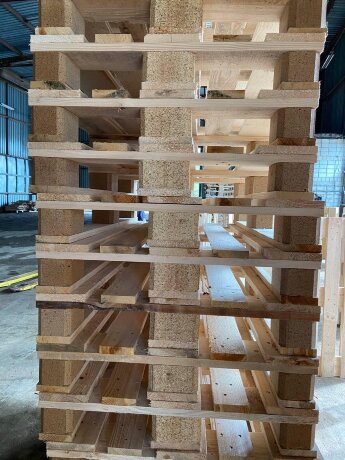 Європіддон epal 2 сорт